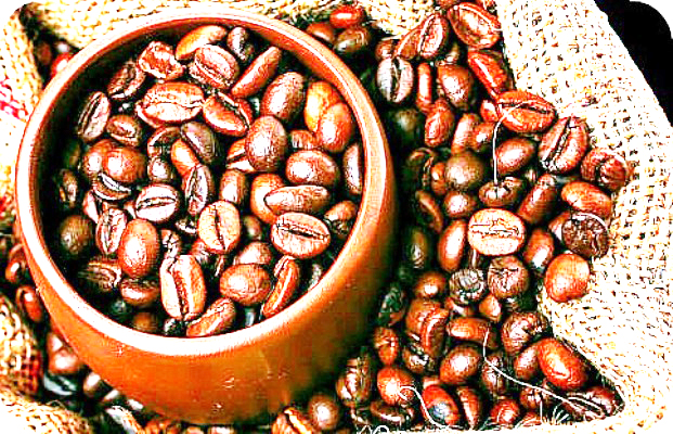 Coffee, Services Boom Spur Property and Building Rush